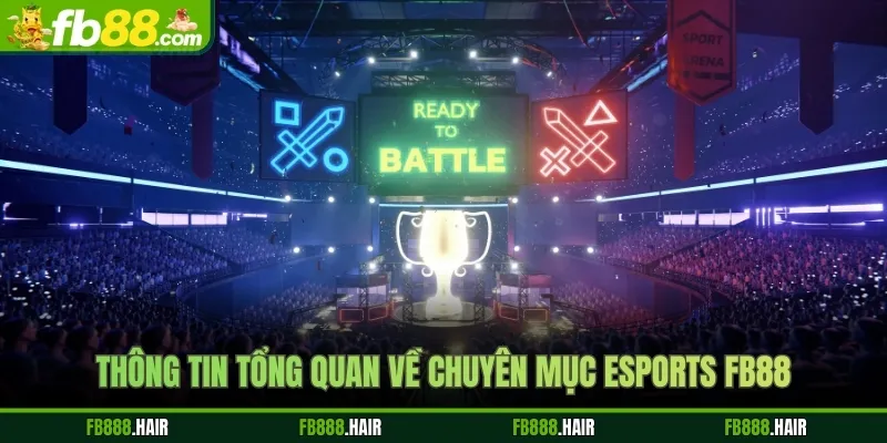Thông tin tổng quan về chuyên mục Esports FB88